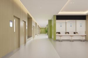 南浔区医疗集团双林院区医疗综合楼项目二次装修工程